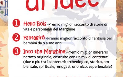 Concorsi di idee